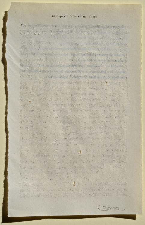 Youdhisthir Maharjan, Scrapped reclaimed text