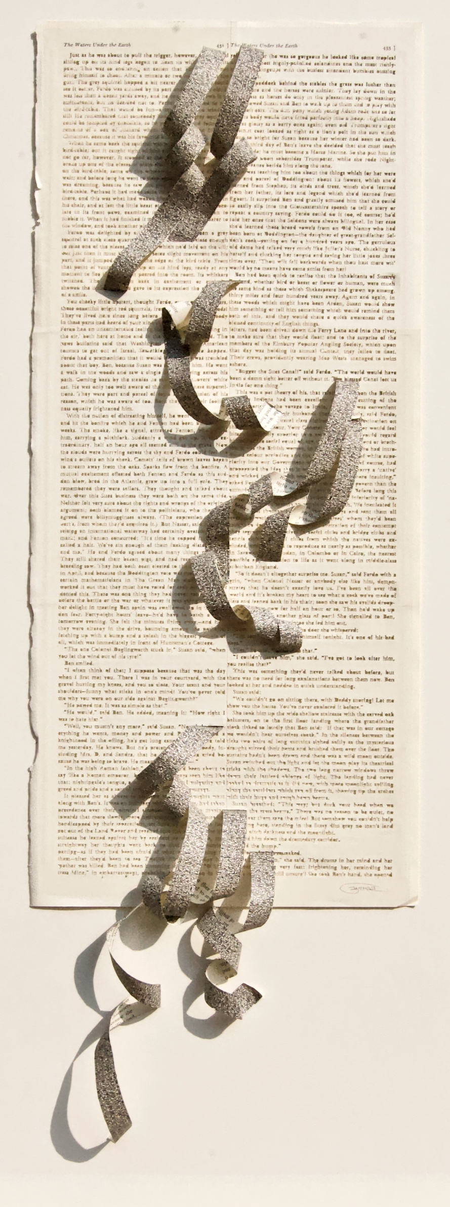 Youdhisthir Maharjan,  Handcut text collage