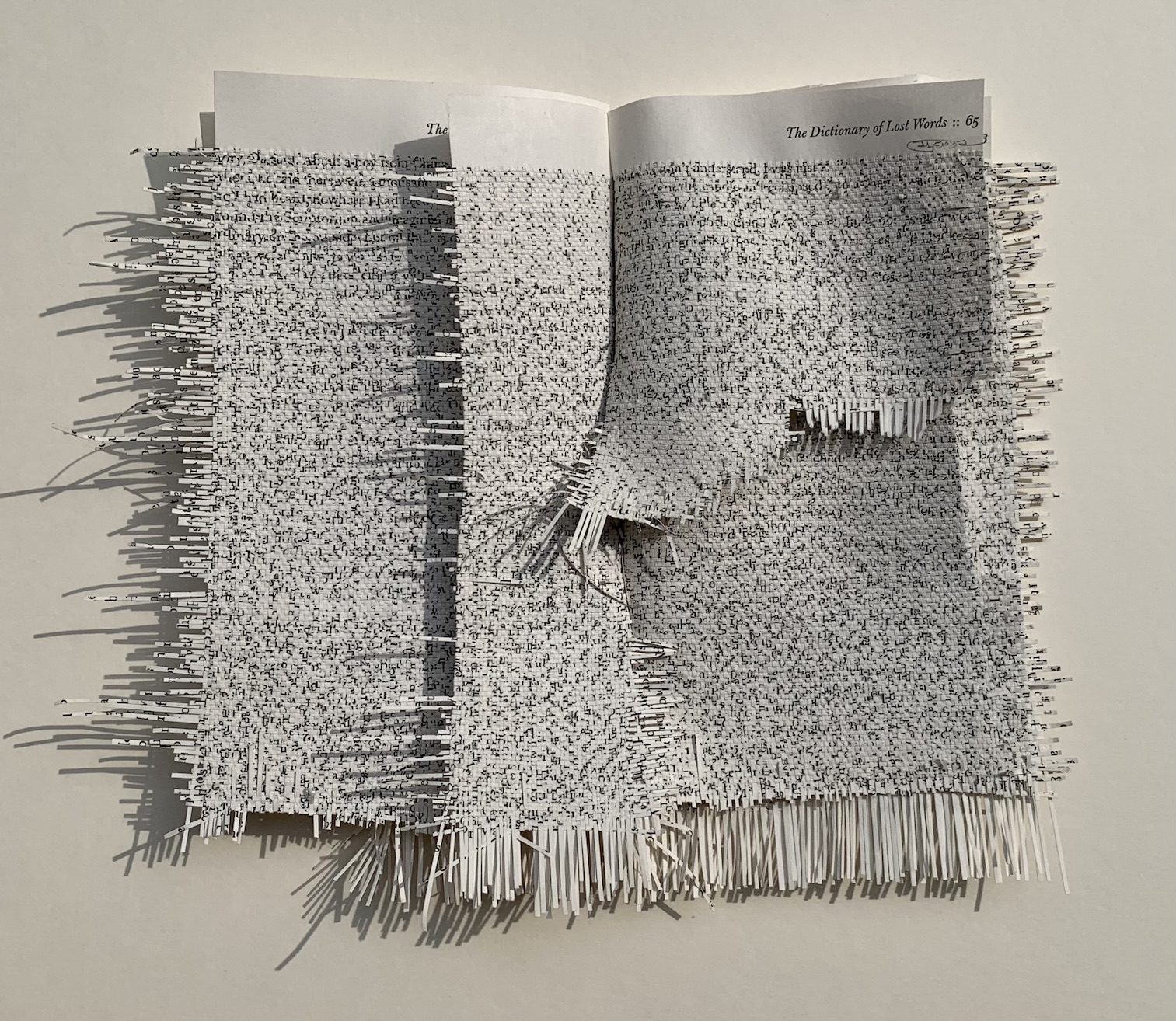 Youdhisthir Maharjan, Art Dubai23, book pages, text in art