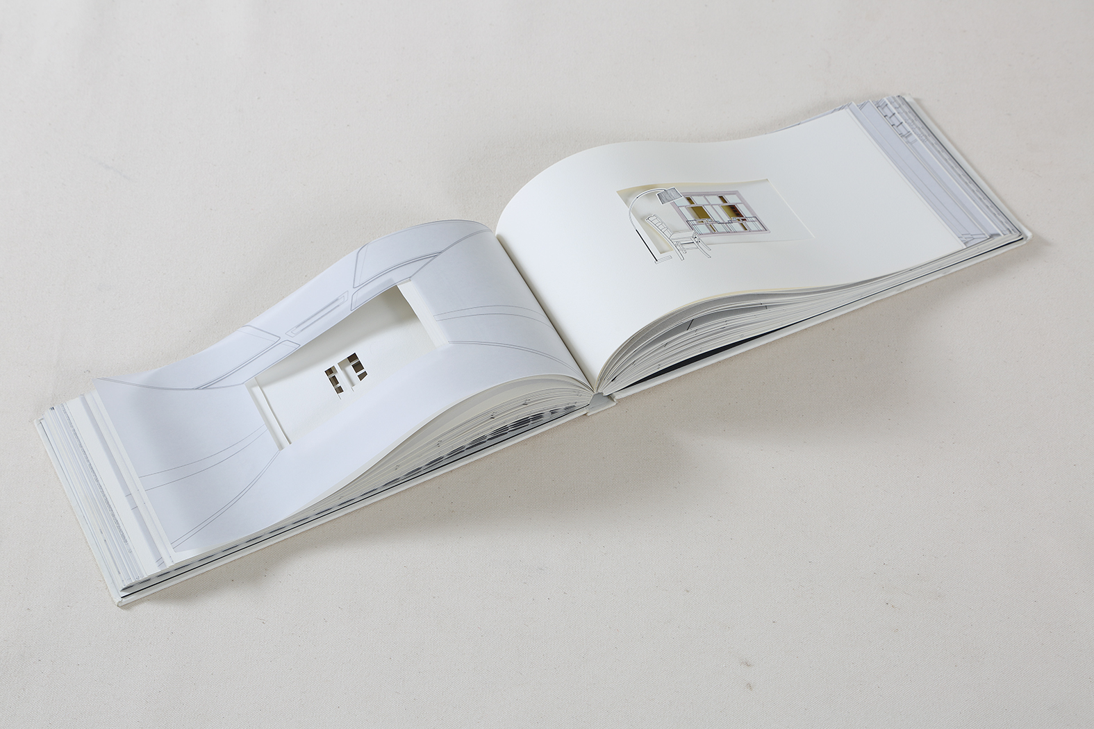 Katsushi Goto &amp; Vishwa Shroff, Artist Book