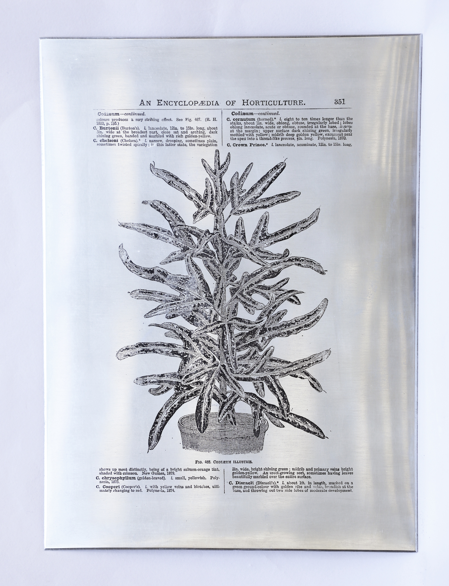 Heat Transfers on Zinc Plate by Sarasija Subramanian