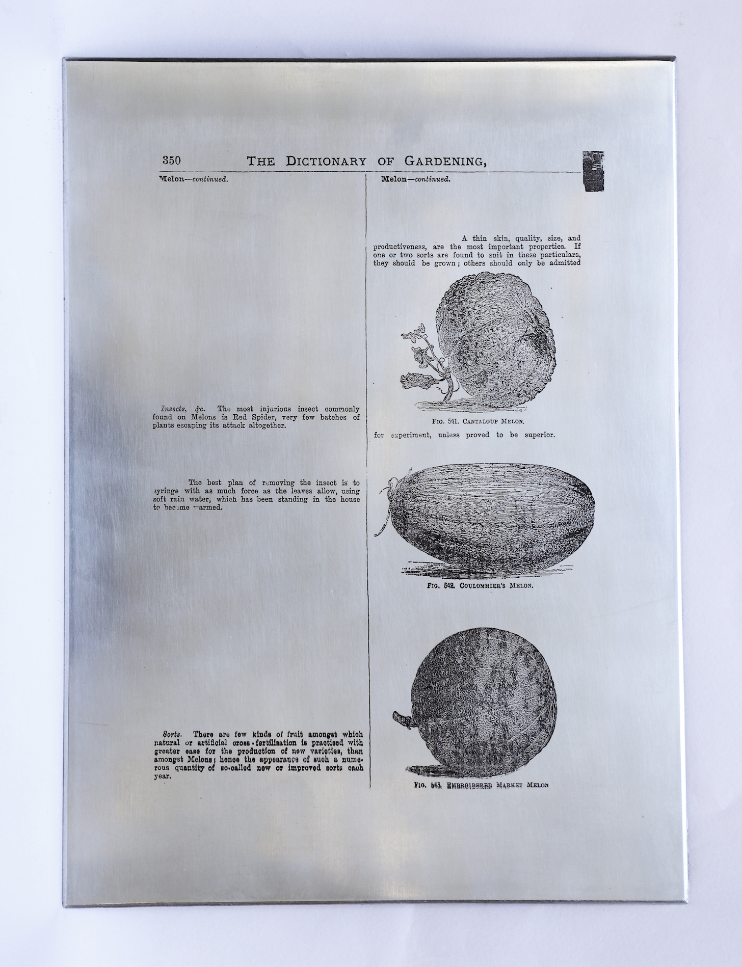 Heat Transfers on Zinc Plate by Sarasija Subramanian