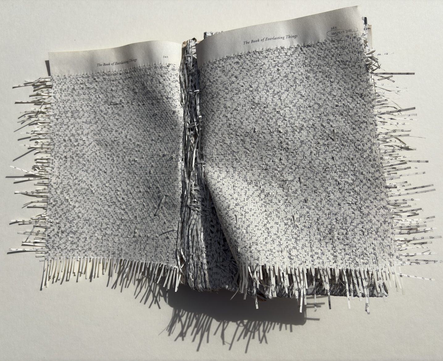 Youdhisthir Maharjan, book pages, text in art, woven pages
