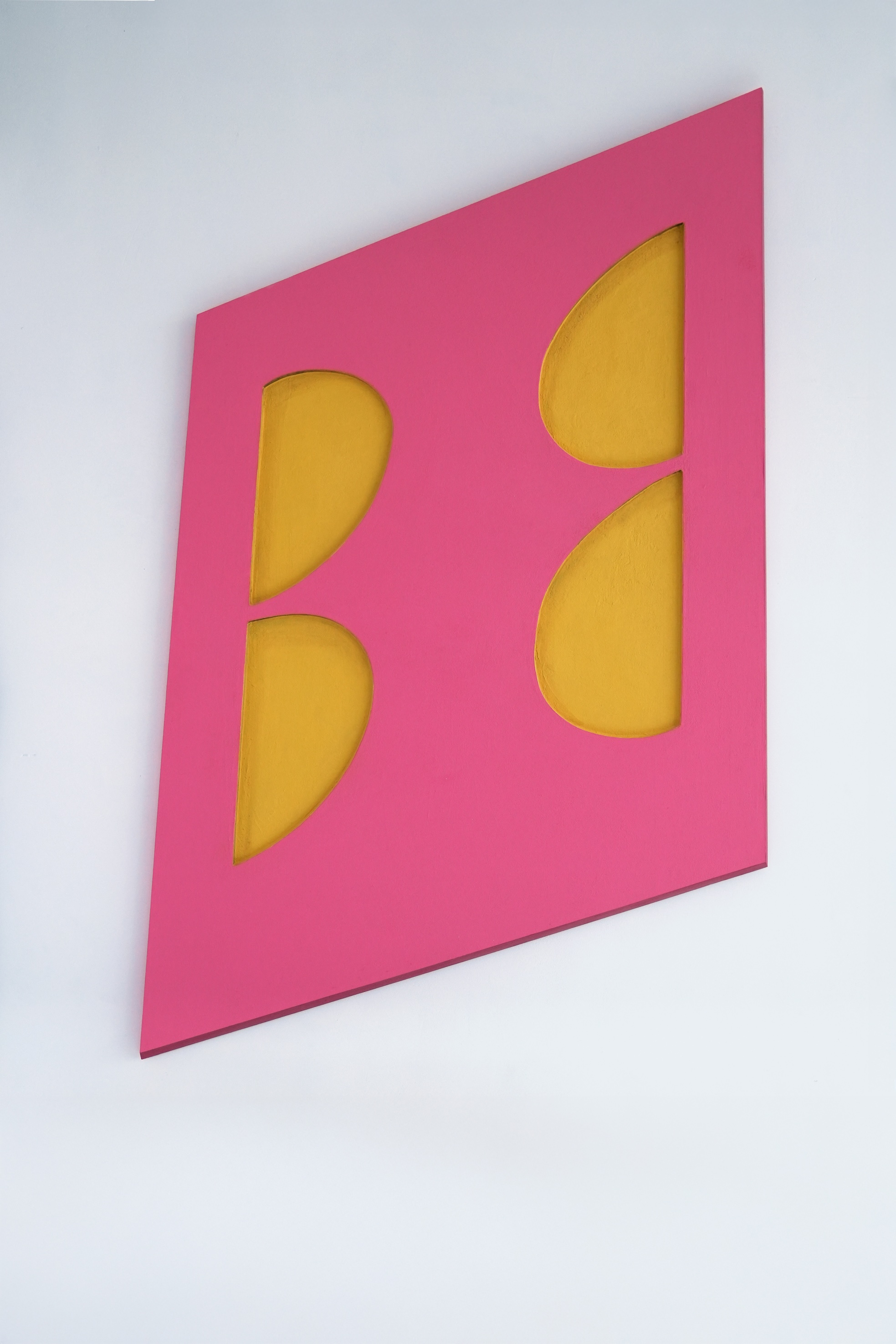 Vasundhara Sellamuthu, Shaped panels, Marginalized narrative