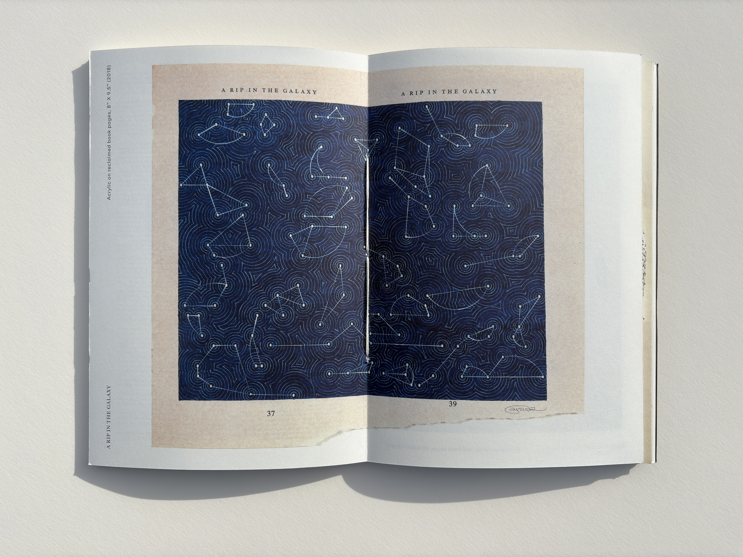 Youdhisthir Maharjan, Nepalese Diaspora, text in art, Rubin