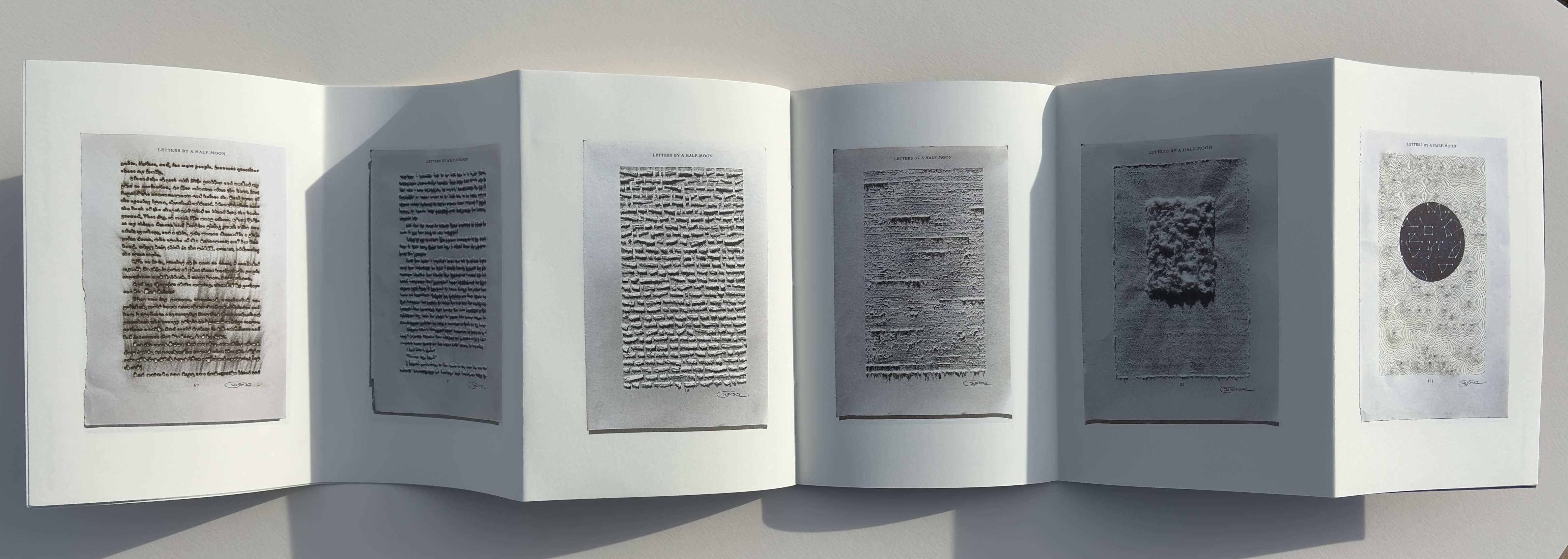 Youdhisthir Maharjan, Nepalese Diaspora, text in art, Rubin
